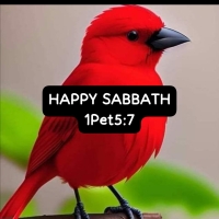 IL EST ECRIT, sur la CRTV station régionale de l'Ouest